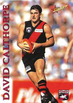 1995 Select AFL #137 David Calthorpe Front